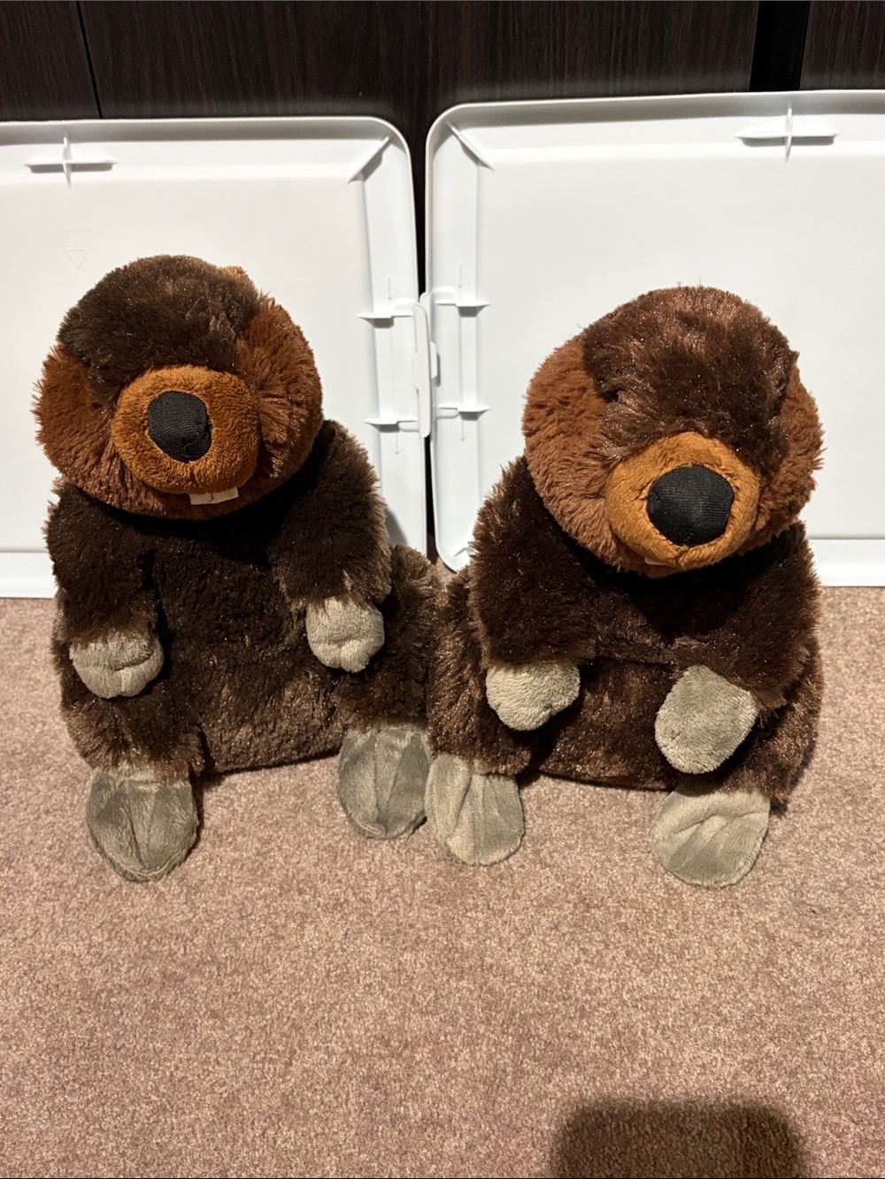 Plush Brown Beaver Pair - Soft Stuffed Animals